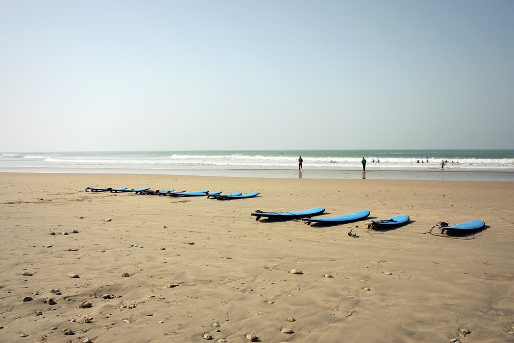 gros jonc bois-plage