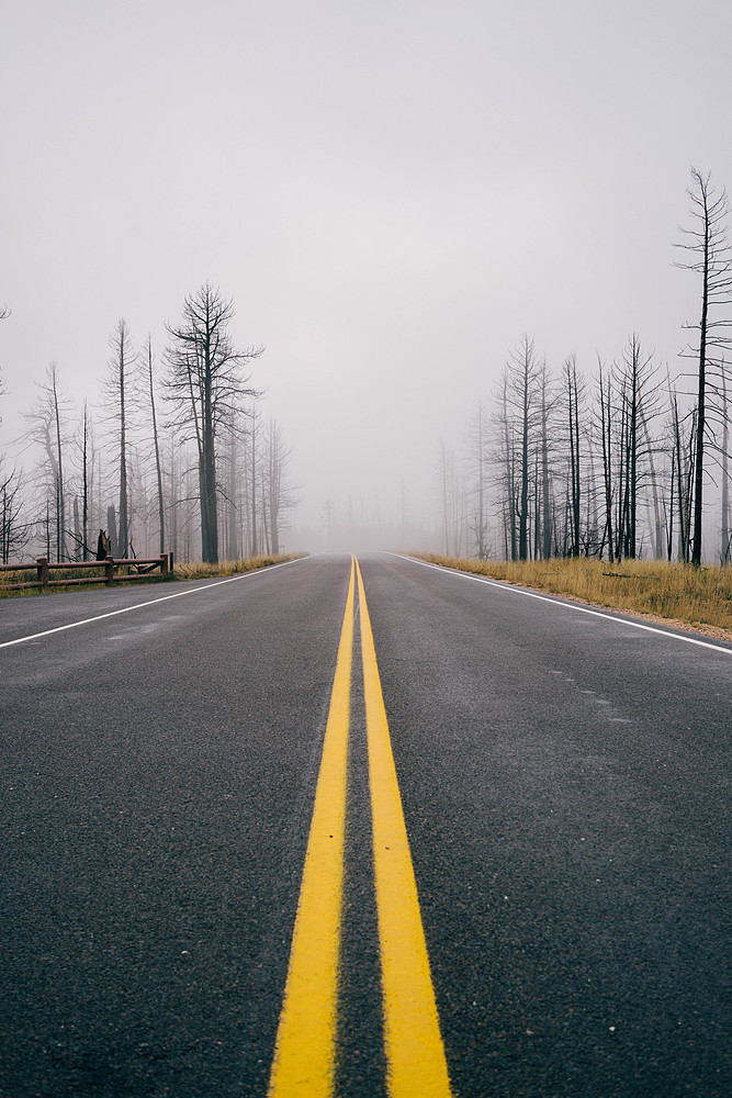 bryce canyon road fog