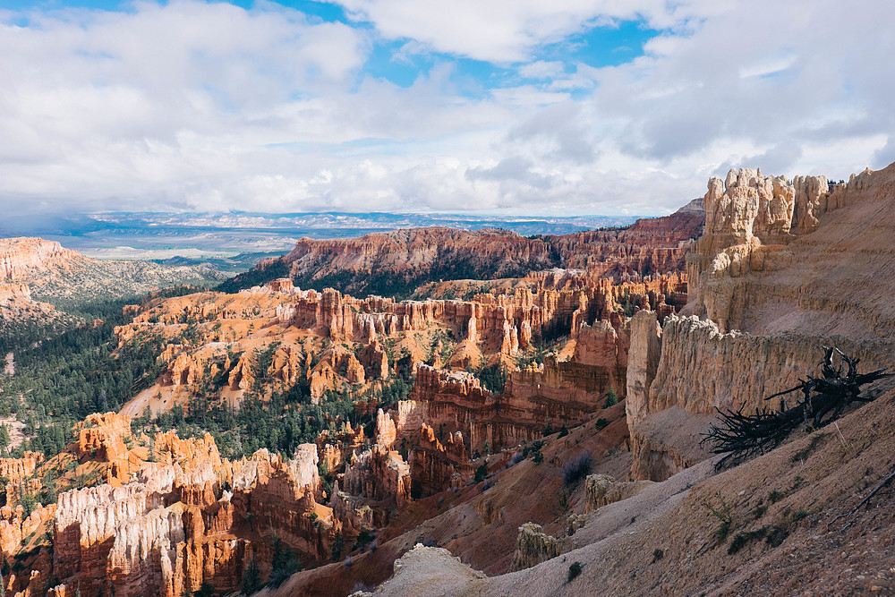 bryce canyon panorama