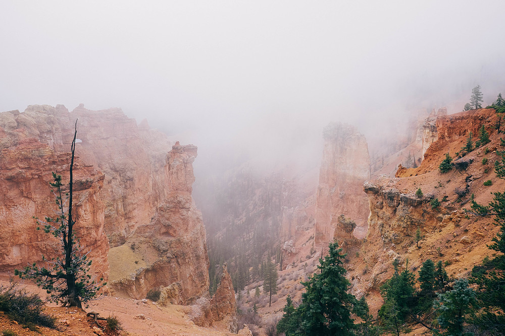 brouillard à bryce canyon