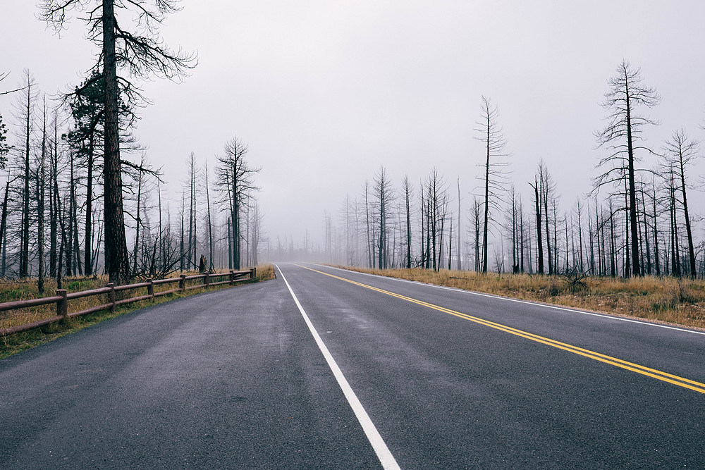 bryce canyon brouillard route