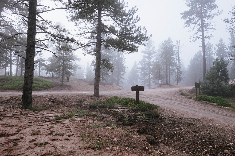 camping bryce canyon brouillard