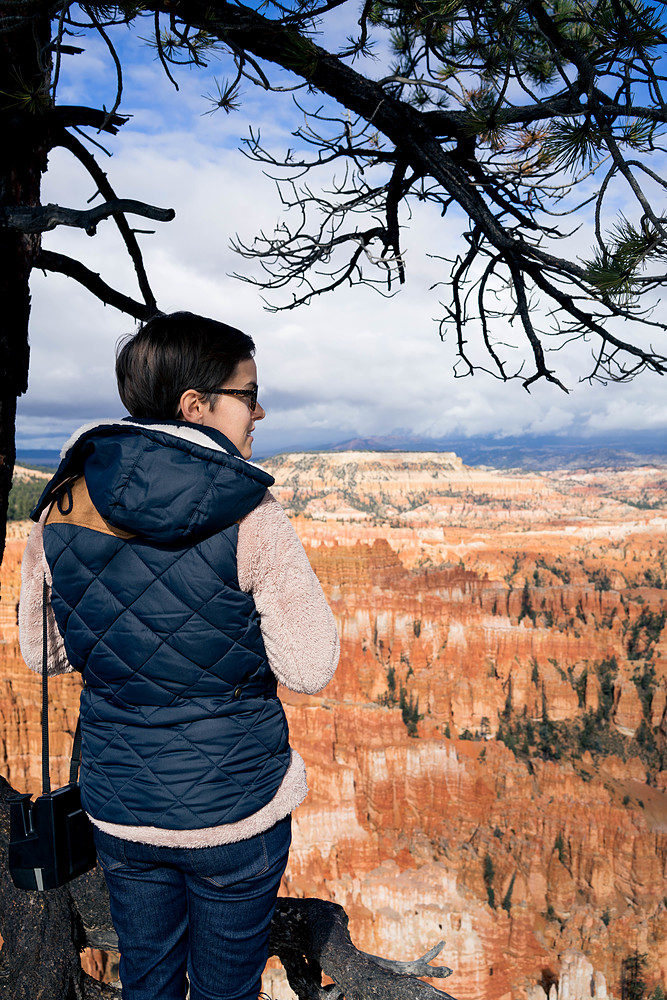 arbre à bryce canyon