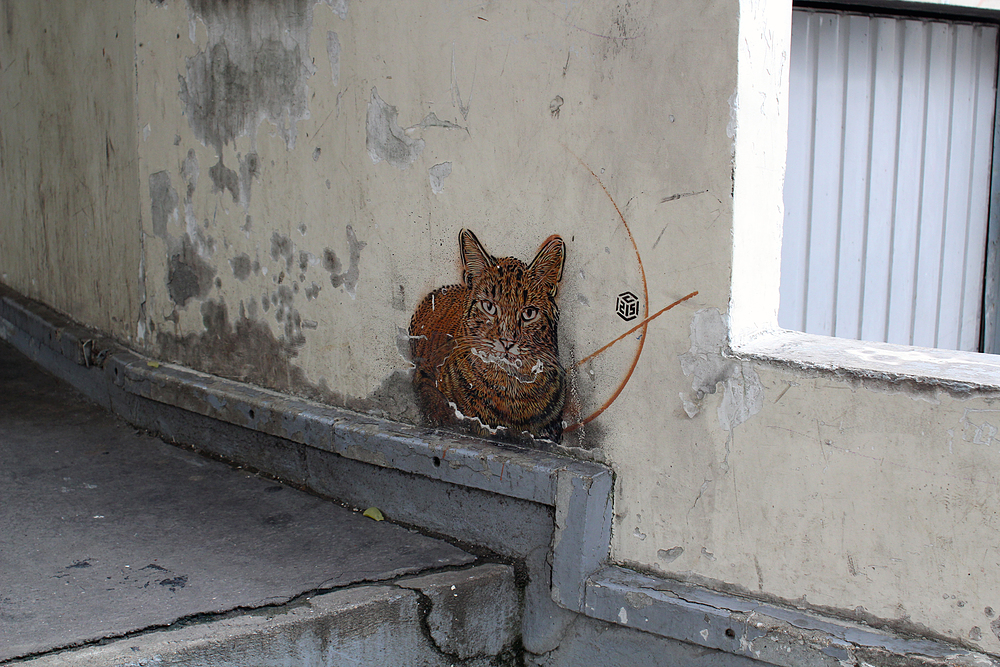 C215