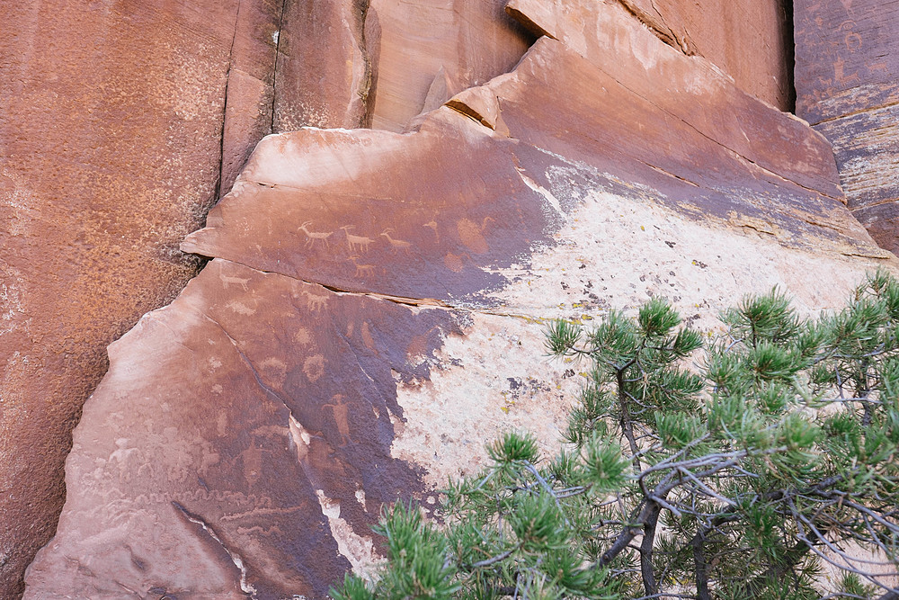 canyonlands the needles tag a long