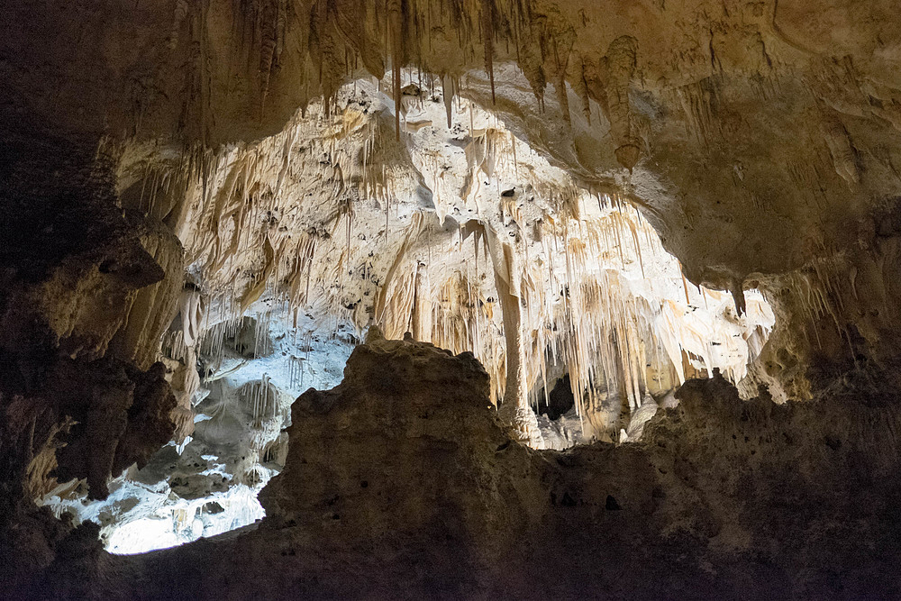 que voir à carlsbad caverns