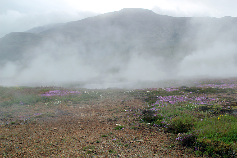 Geysir