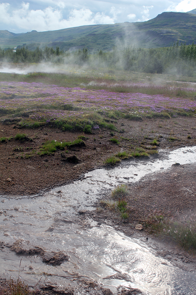 Geysir