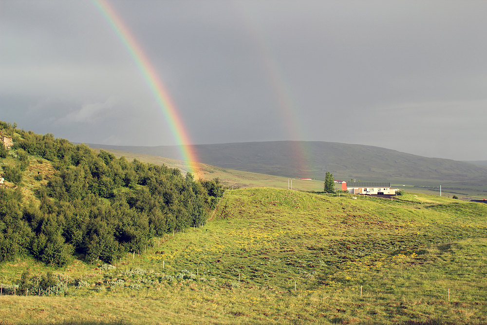 Geysir