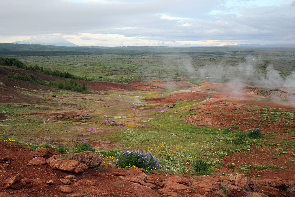 Geysir