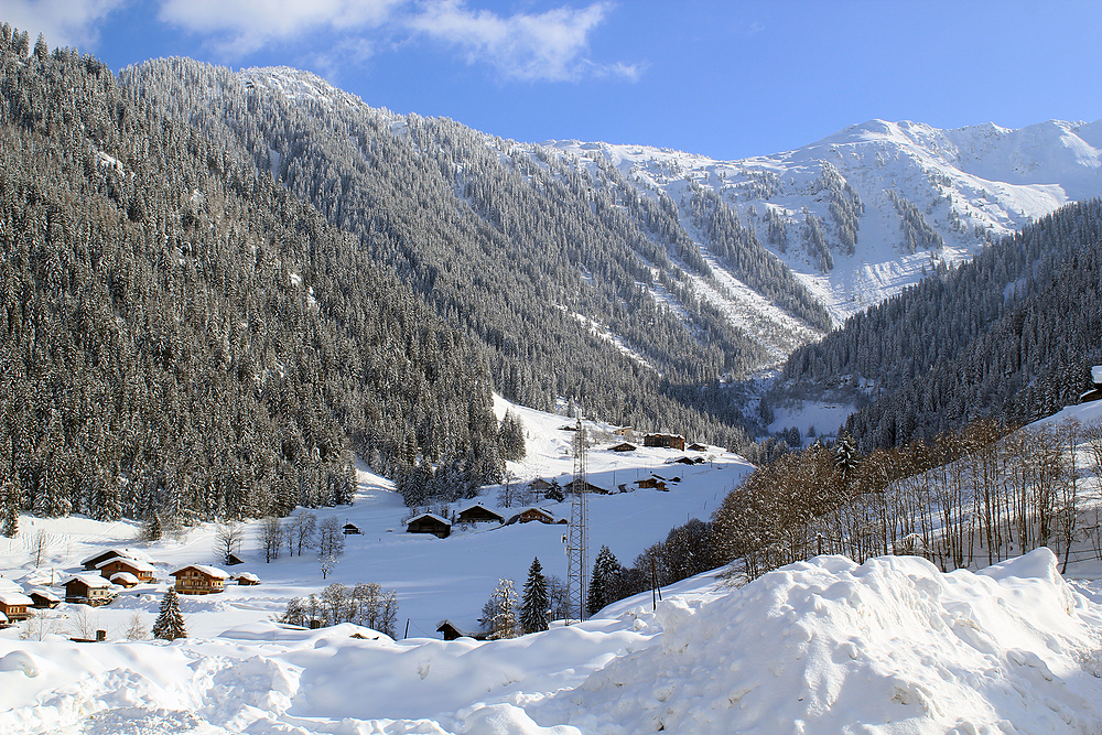 Arêches Beaufort