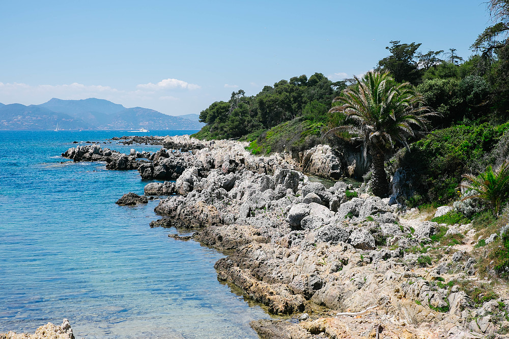 île saint honorat lérins