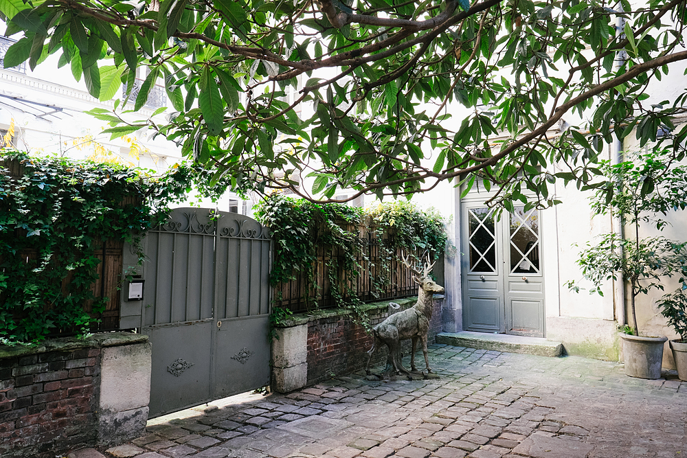 cour rue jacob paris