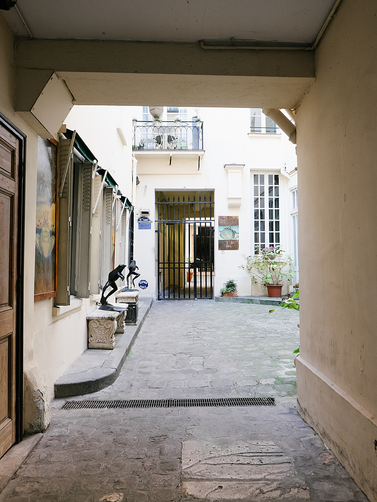 cour restaurant roger la grenouille paris