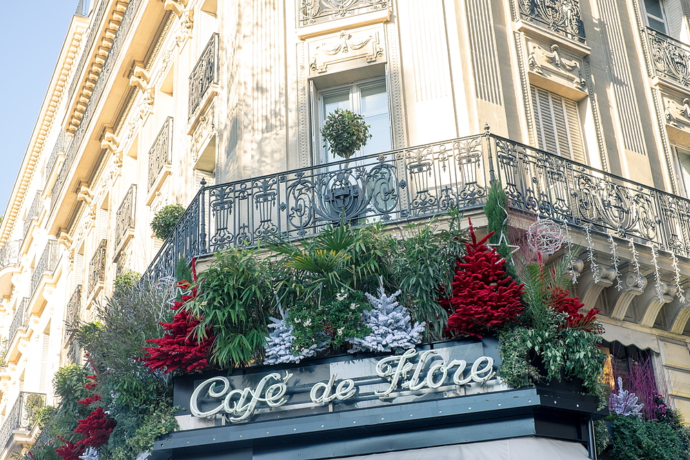 café de flore paris