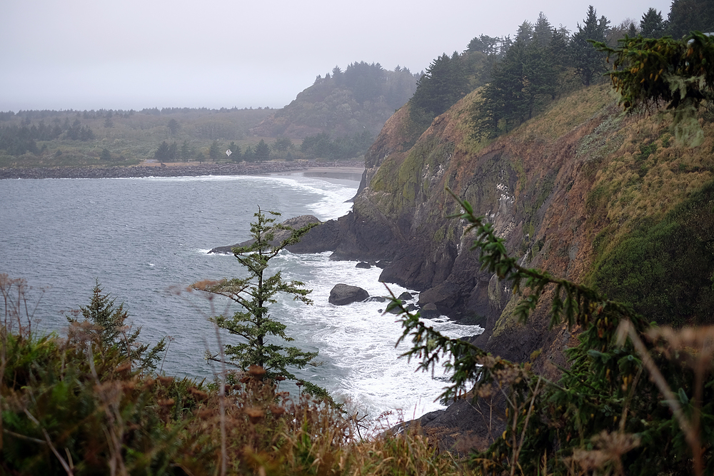 cape disappointment washington