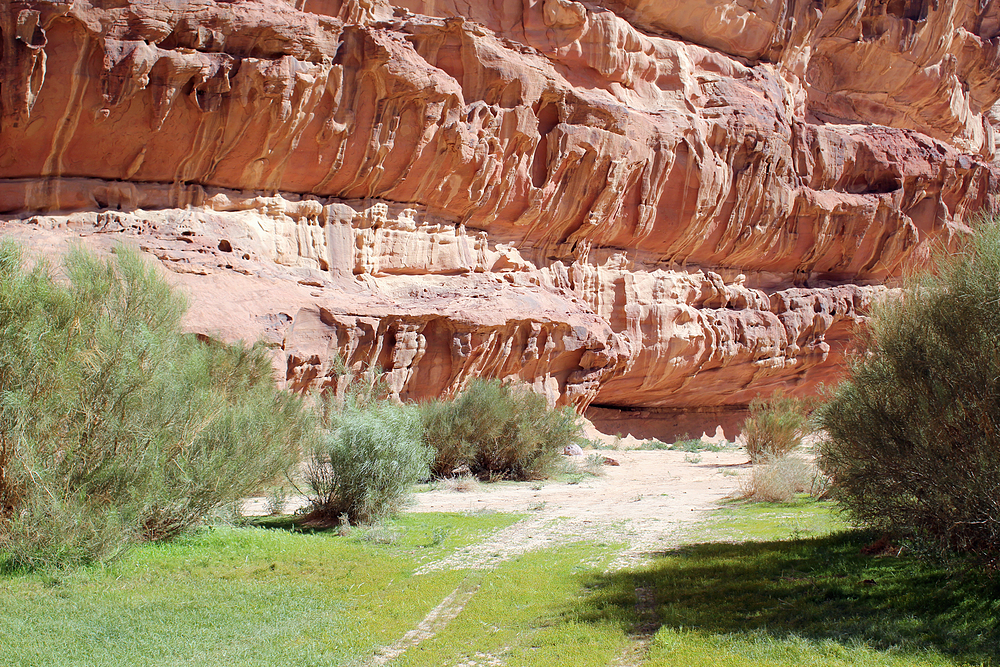 Wadi Rum