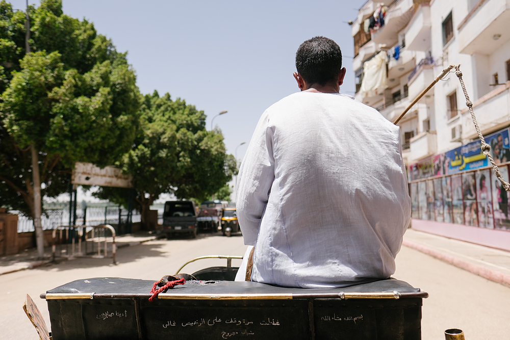 calèche edfou egypte