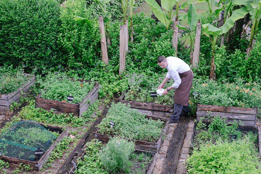 potager ithurria