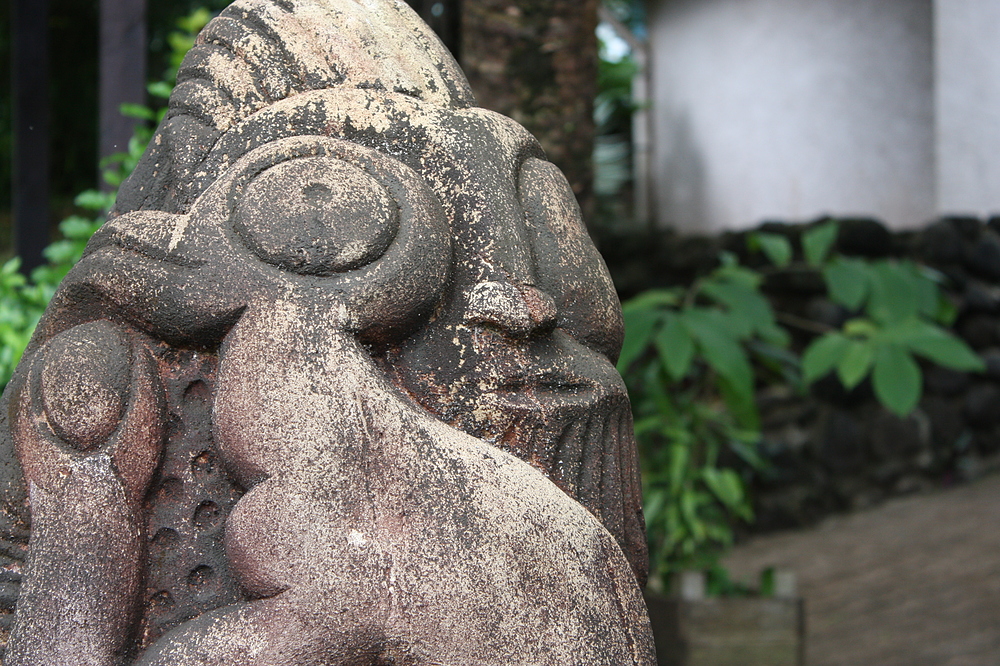 Tiki au lycée agricole