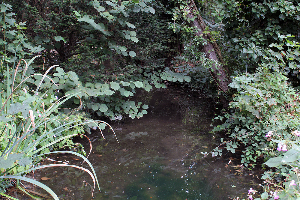 Jardin d'agronomie tropicale