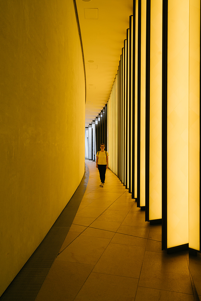 fondation louis vuitton