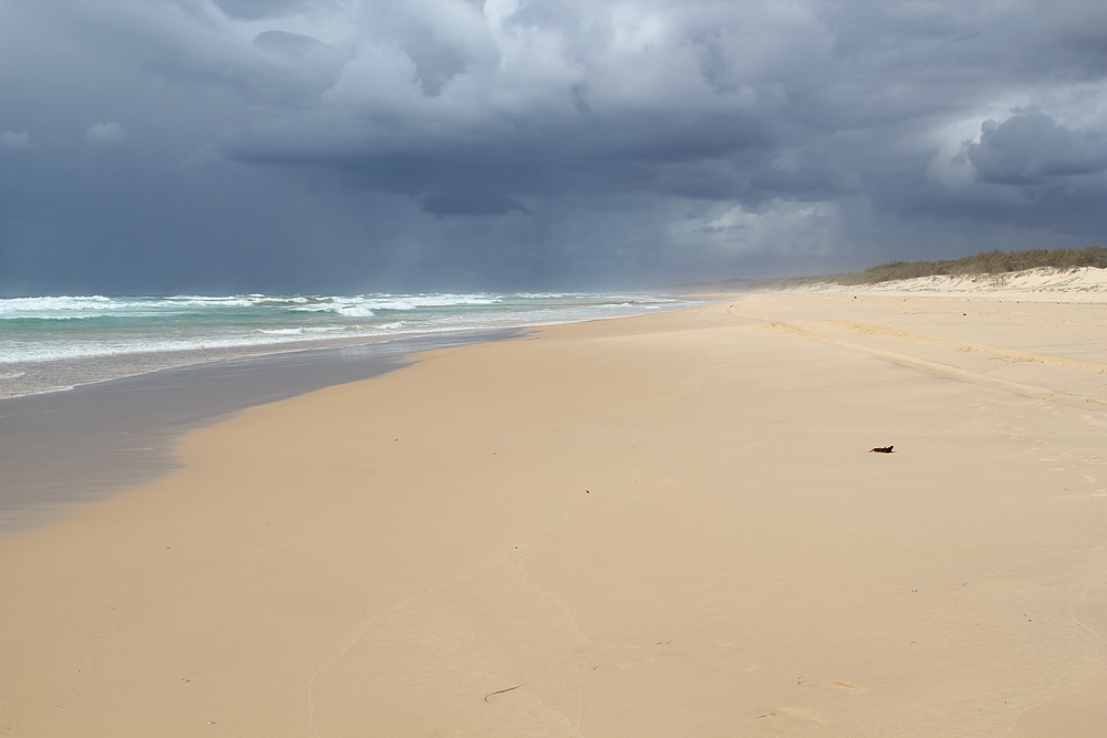 Fraser Island