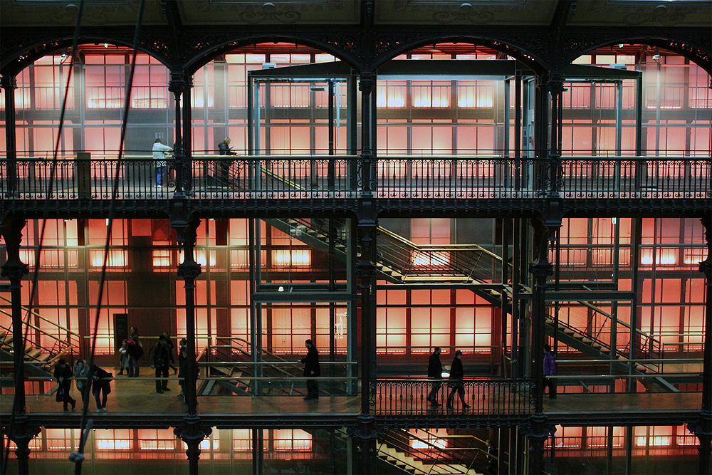 Grande galerie de l'évolution