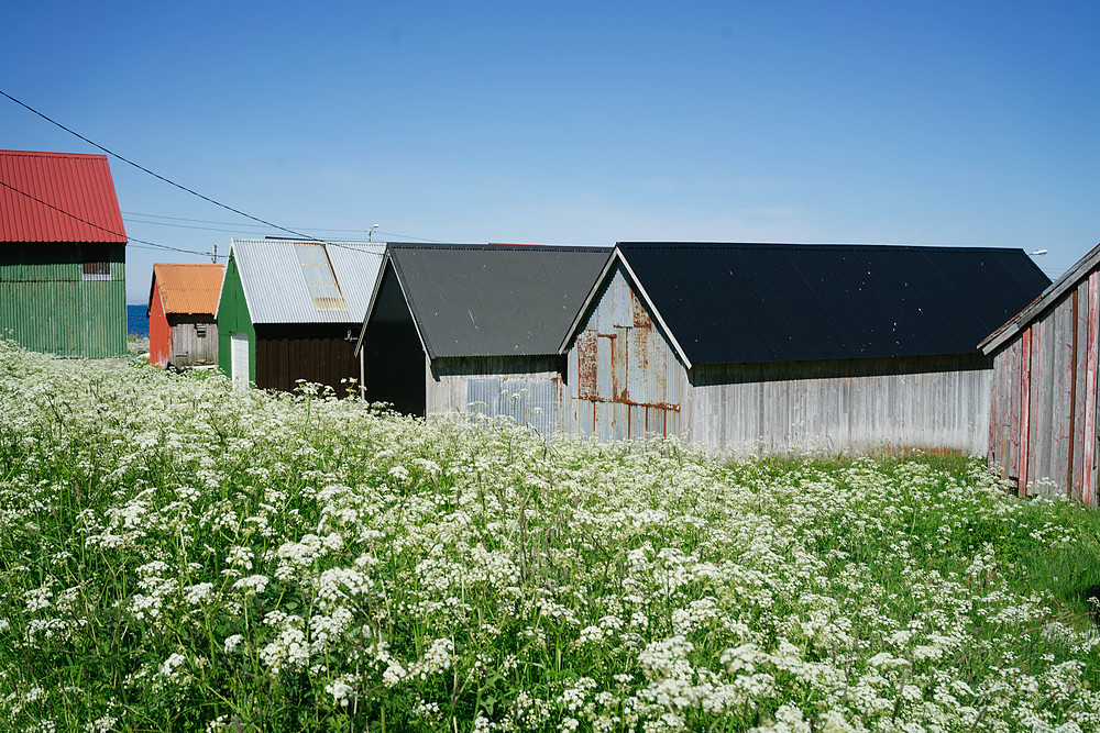 godoy vieux hangars