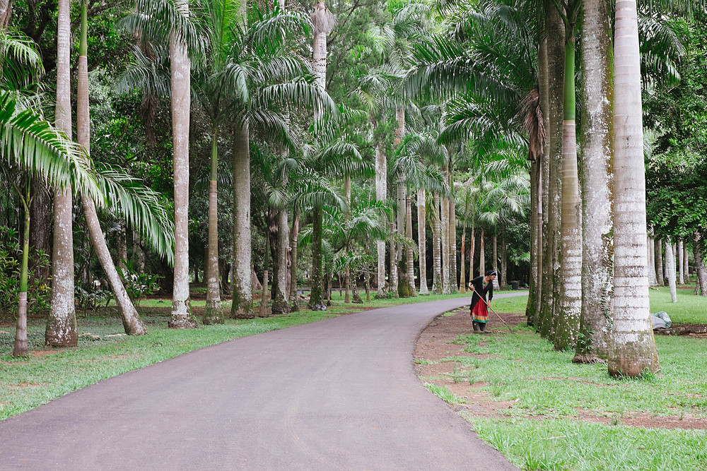 jardin pamplemousse île maurice