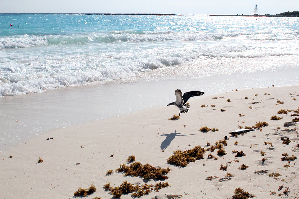 Cancun