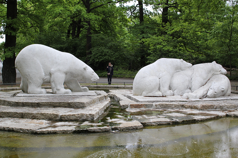 Zoo de Berlin - ours blanc