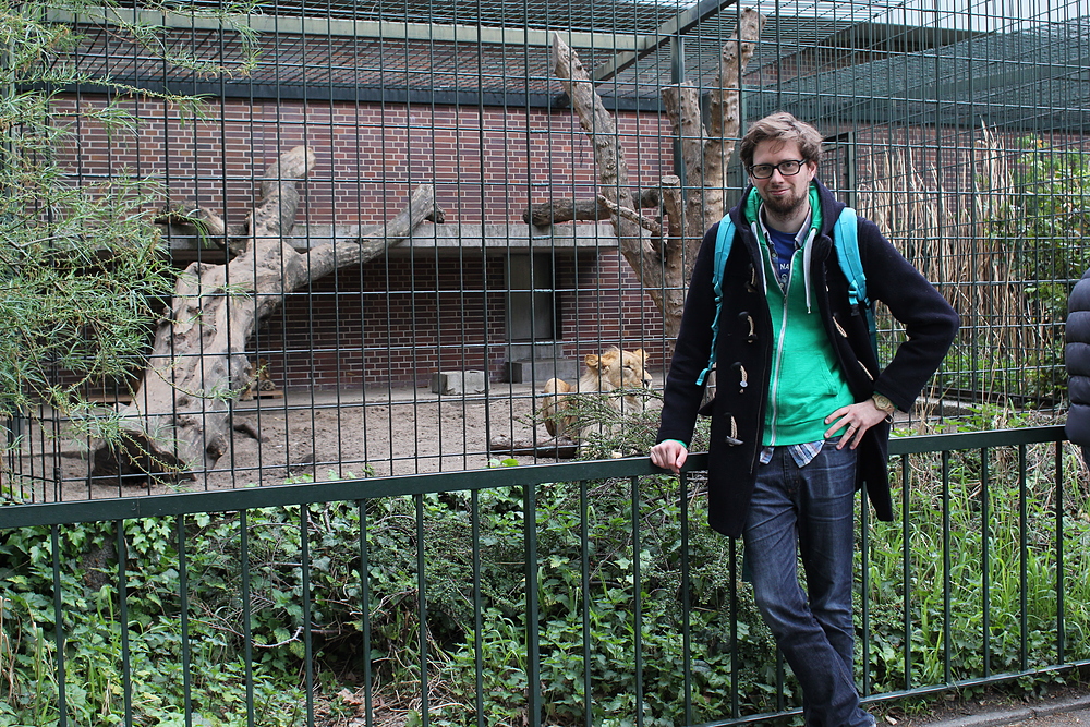 Zoo de BErlin - lion