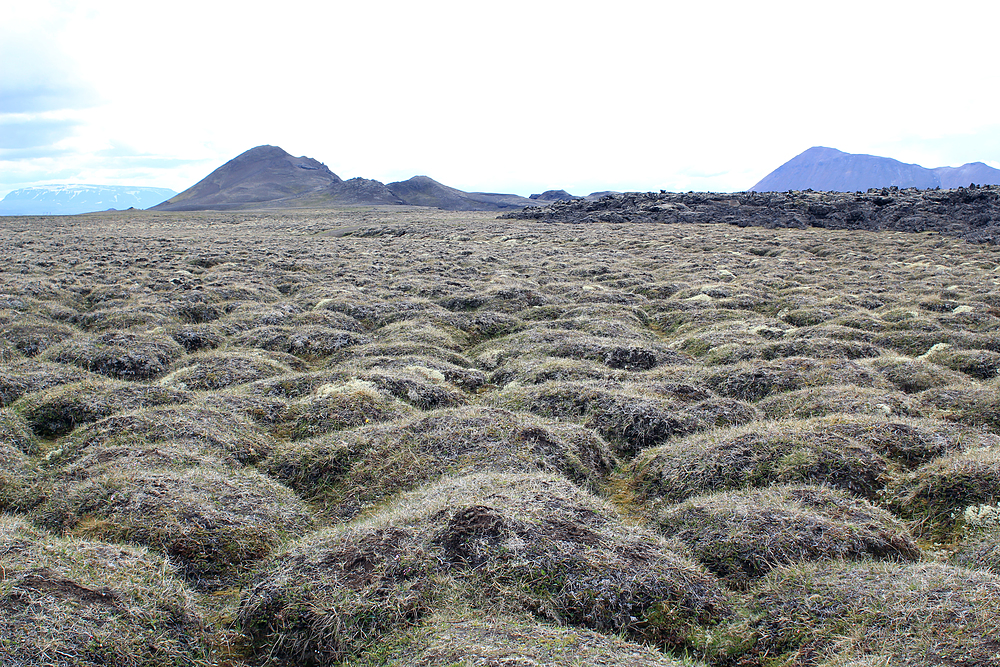 Leirhnjúkur