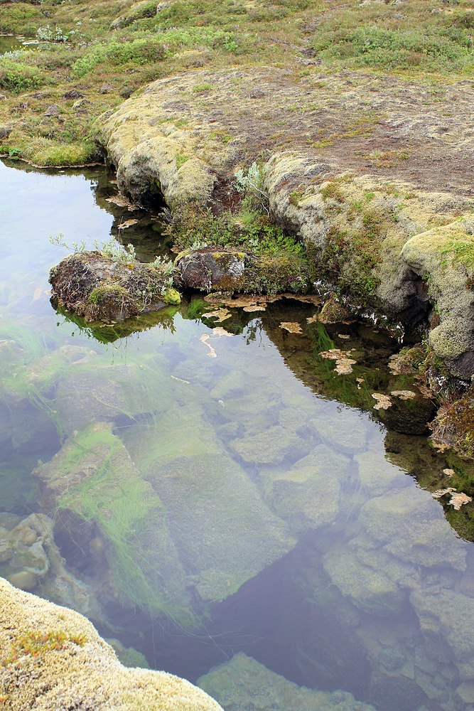 Thingvellir