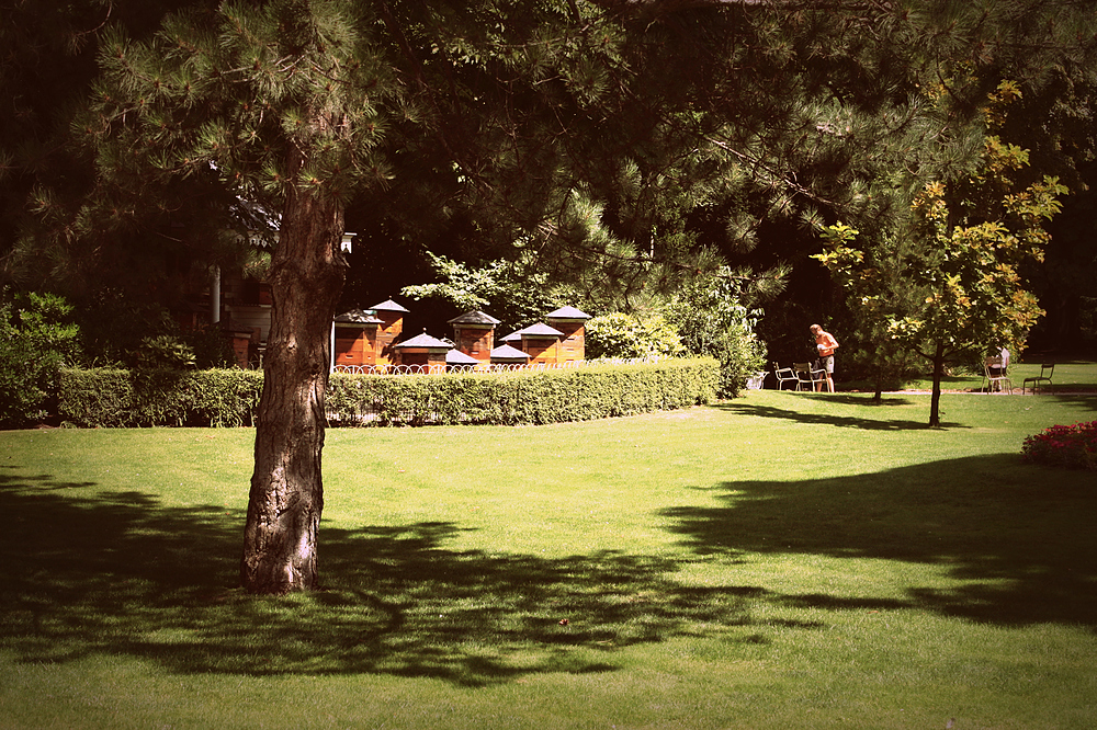 Ruches Jardin du Luxembourg