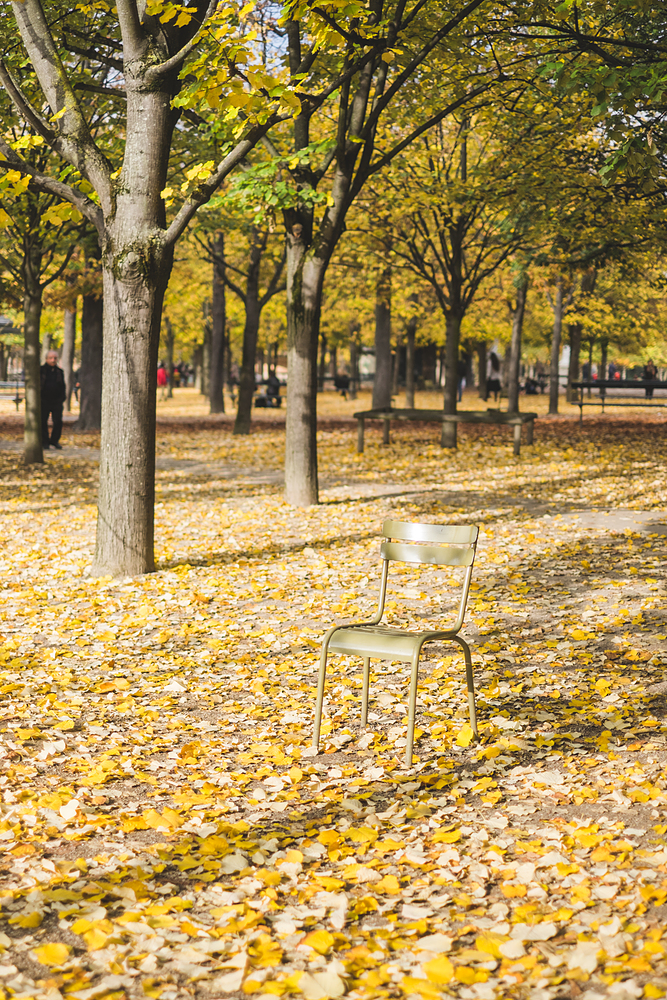 chaises jardin du luxembourg