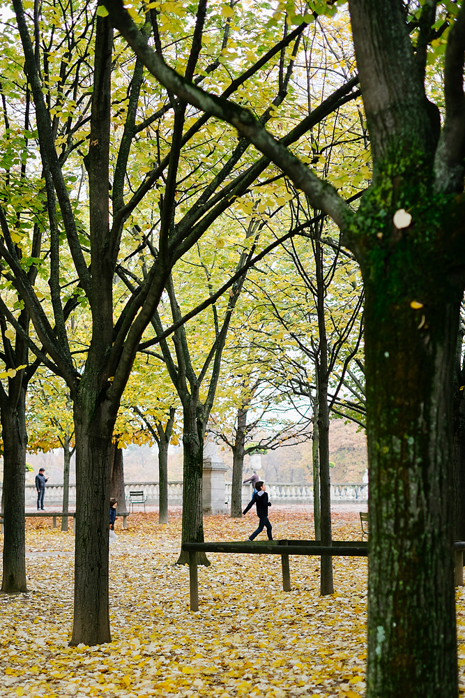 enfant jardin du luxembourg