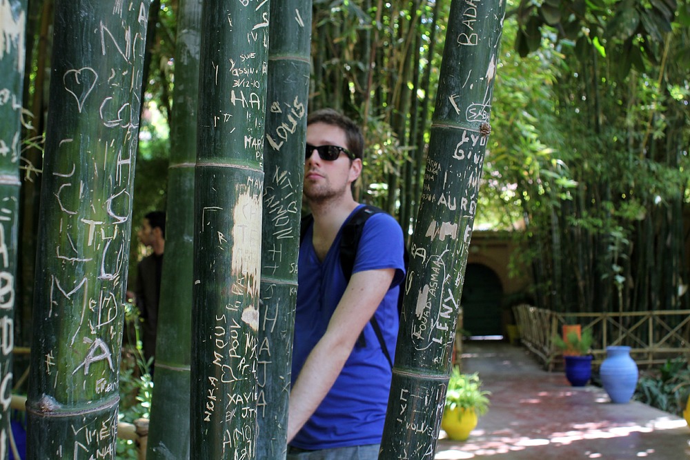 Jardin Majorelle - Bambous