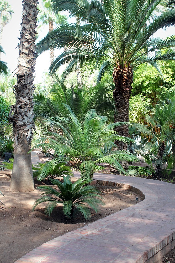 Jardin Majorelle