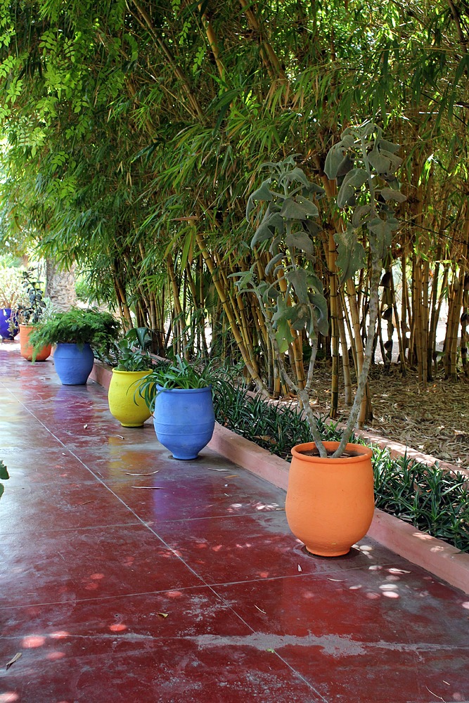 Jardin Majorelle - pots