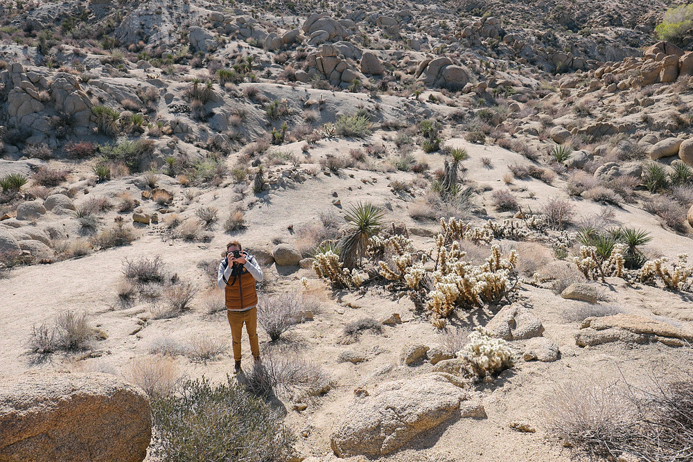 joshua tree national park