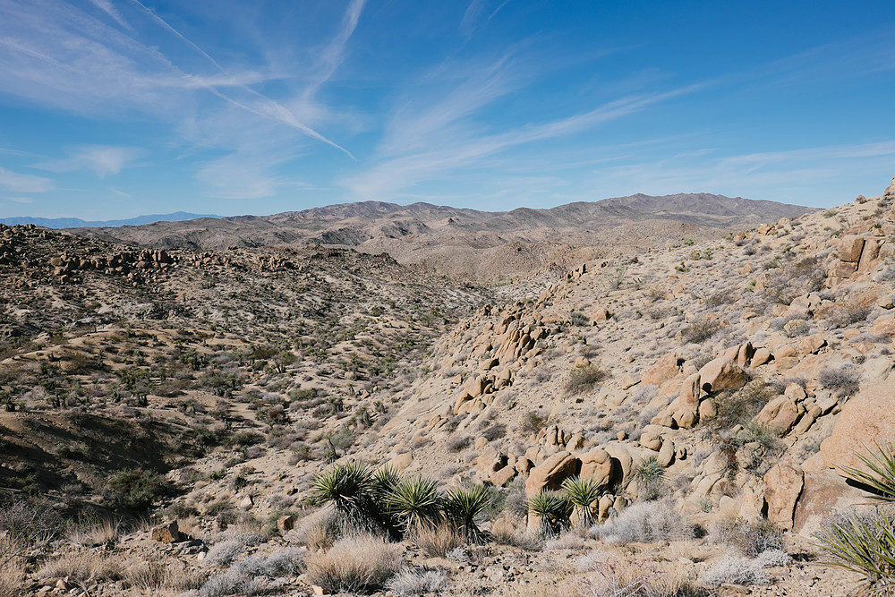 joshua tree national park