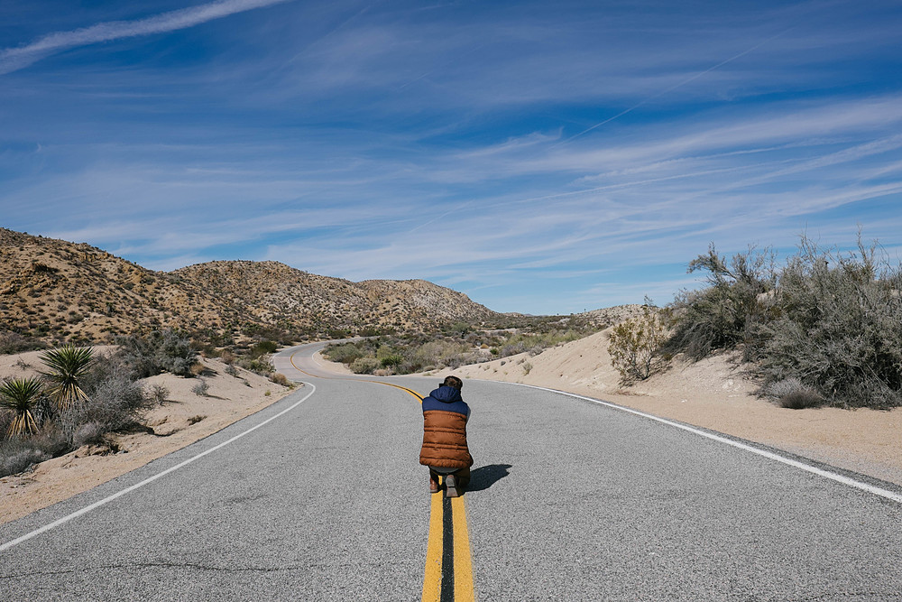 joshua tree national park