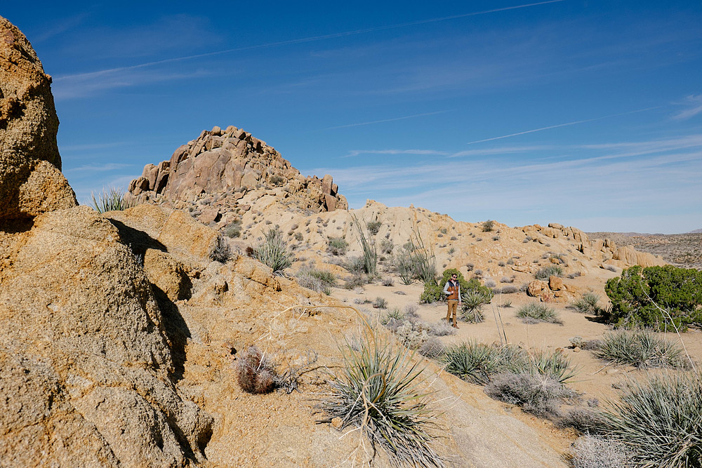 joshua tree national park