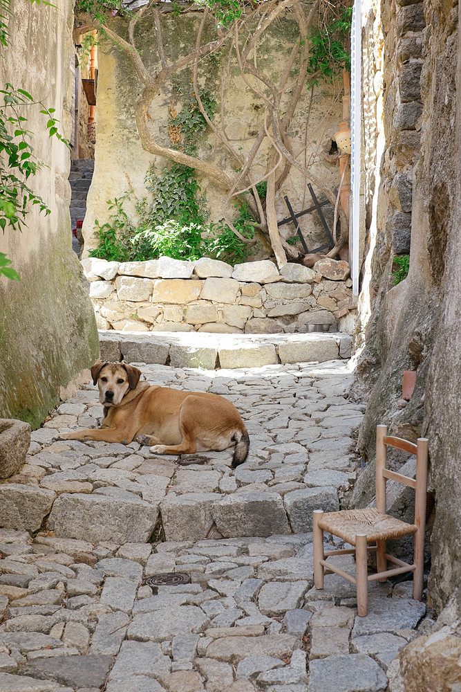 ruelle de pigna en corse