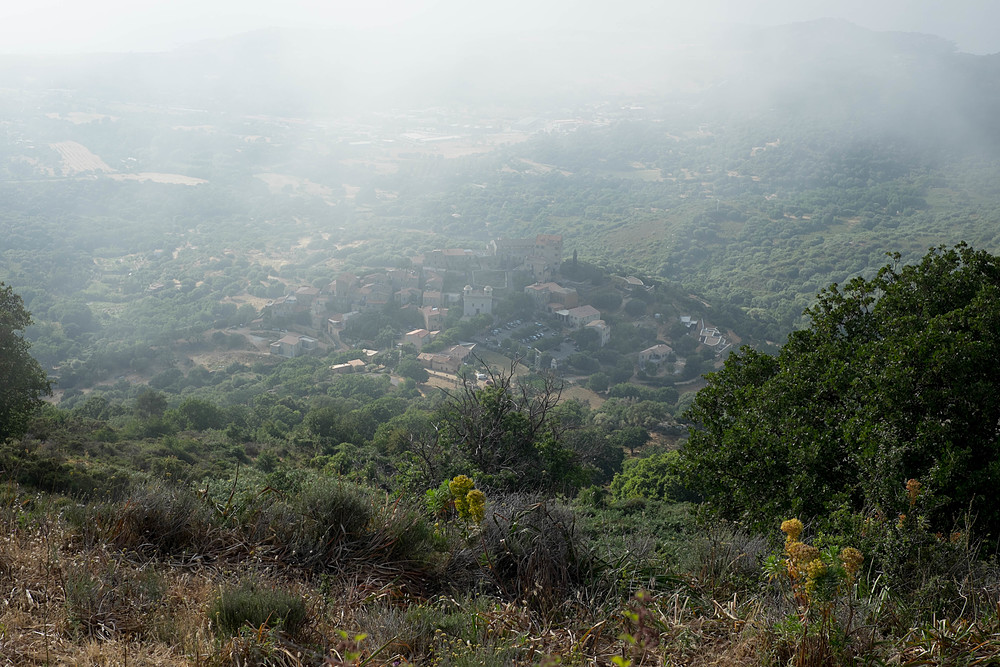 corbara vue d'en haut