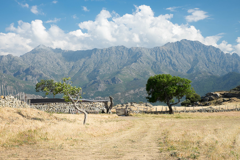 paysage de corse