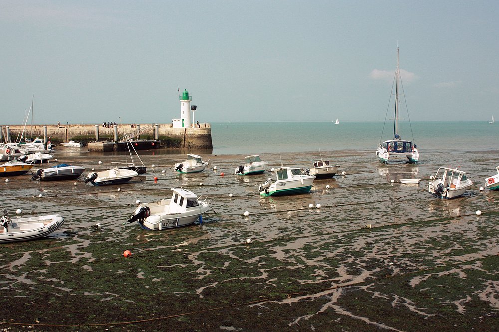 la flotte en ré marée basse