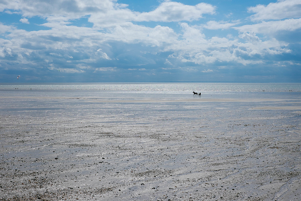 plage de jullouville cheval